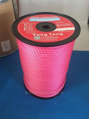 進(jìn)口美國杜邦絲引紙繩